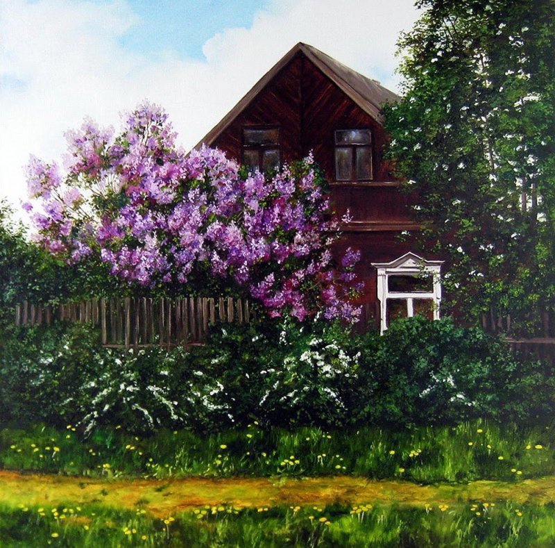 Сирень Вольфа (s. wolfii Schneid.)