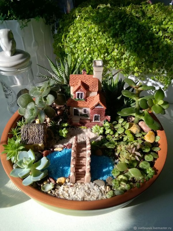 Мини садики из суккулентов