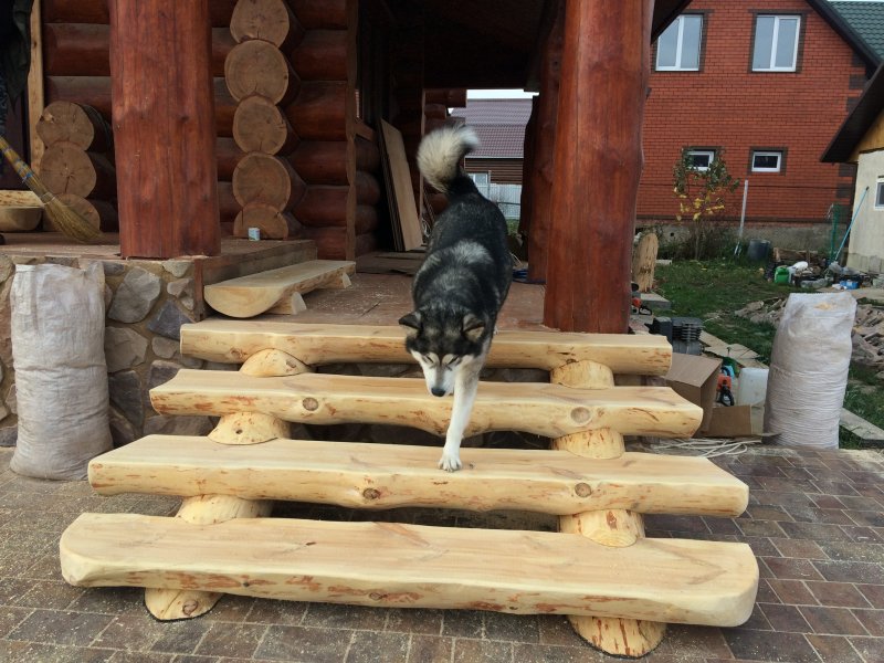 Ступеньки из бревна