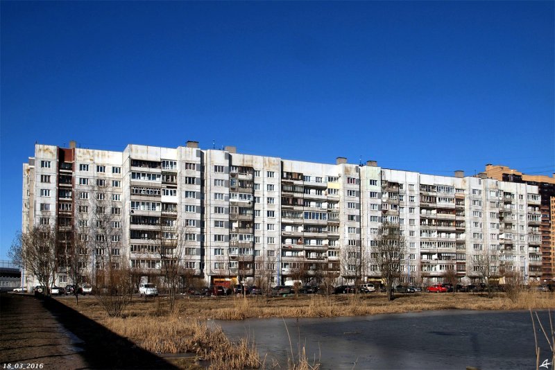 Санкт Петербург 137 серии панельных домов