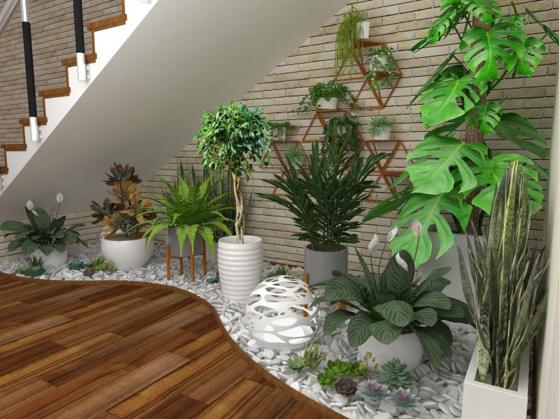 Phytodesign зимний сад