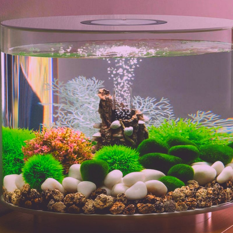 Аквариум BIORB Decor