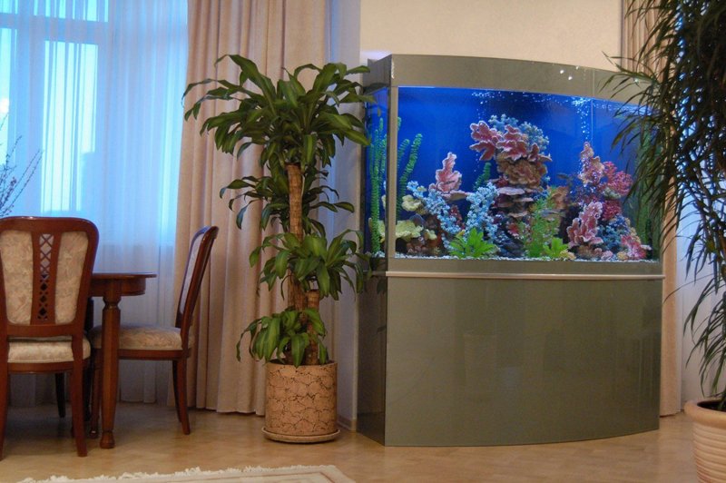 Красивые аквариумы в квартире