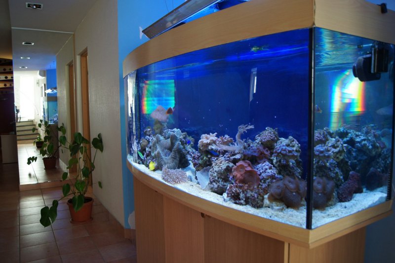 Морской аквариум