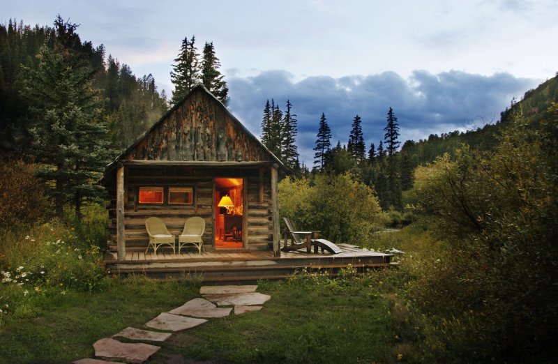 Forest House Хижина в лесу