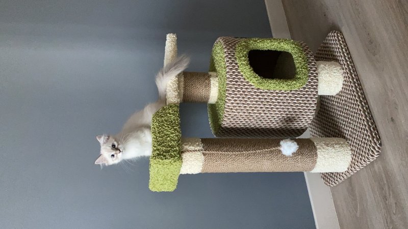 Petmax дом-когтеточка для кошек 50х50х139 см серая