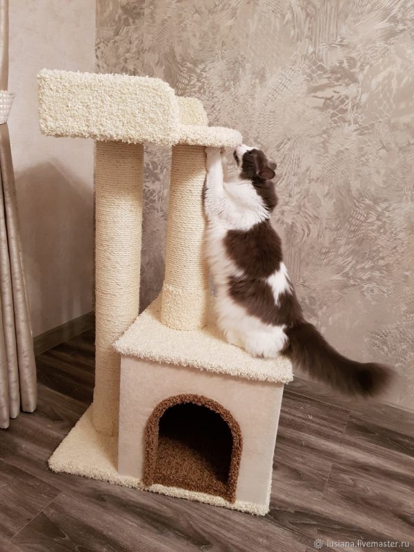 Красивые домики для Коше