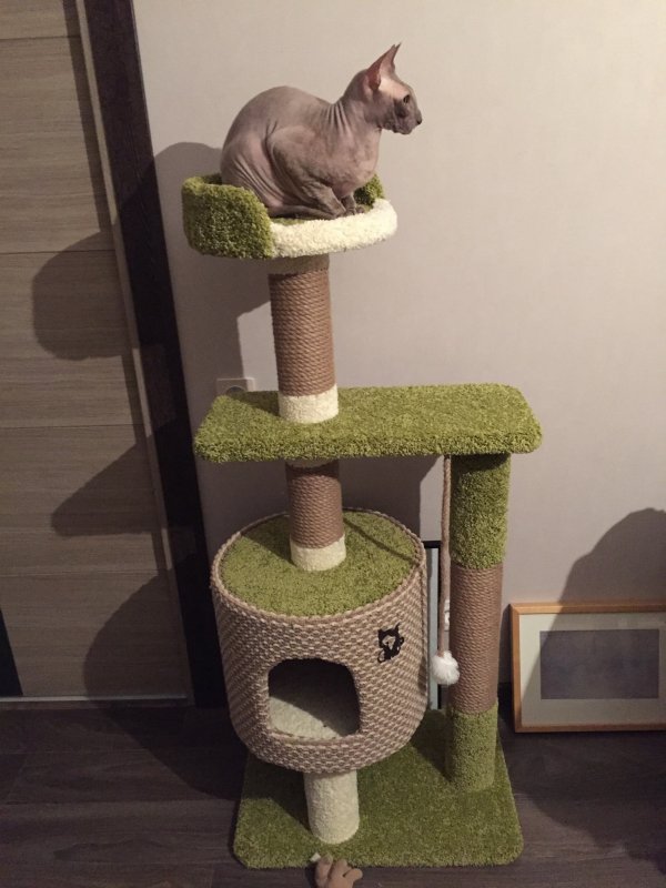 Кошачий домик кисмит д2