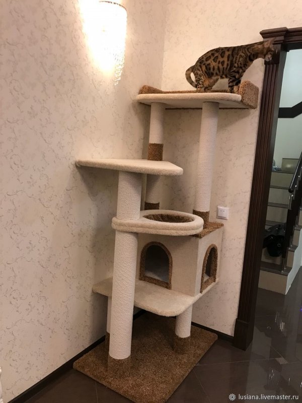 Самодельные игровые комплексы для кошек