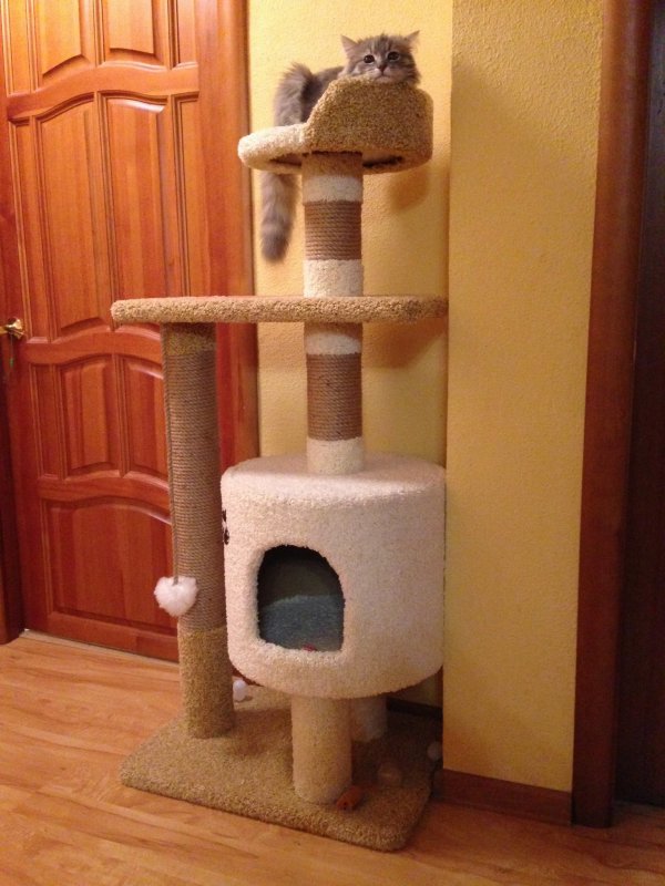 Кошкины домики