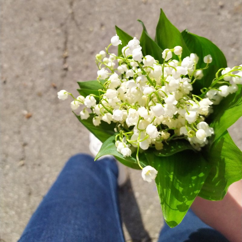 Букетик ландышей в руке