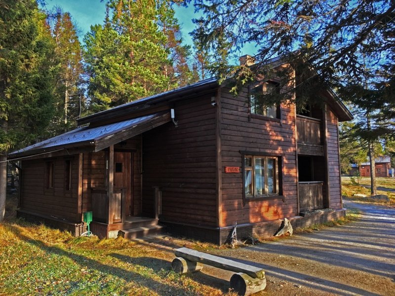 Cedar grass белое море