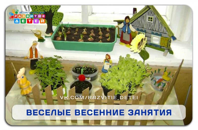 Огородик на окне в детском садике