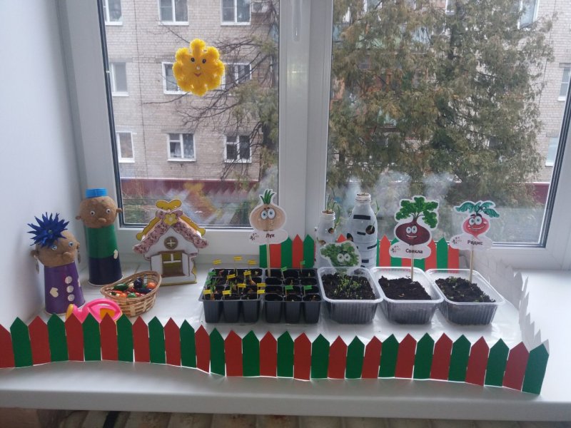 Огород на окошке старшая группа