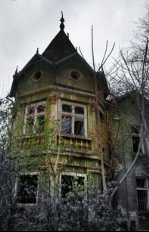 Леселидзе 7а заброшенный дом
