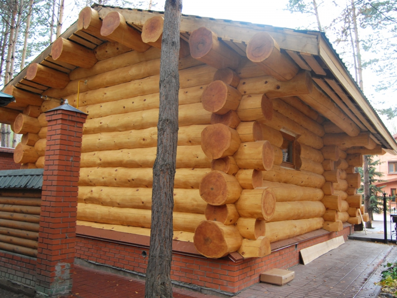 Баня с оцилиндрованого бревна кедра 4×6