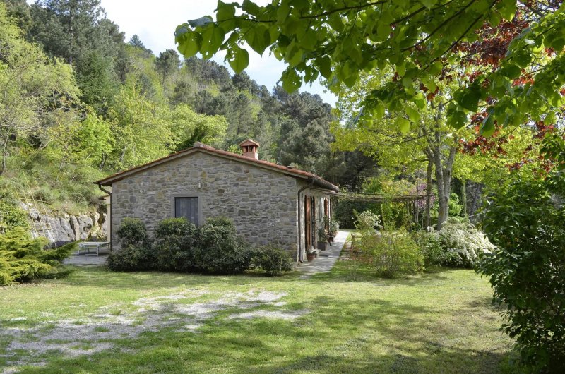 Villa Toscana поля