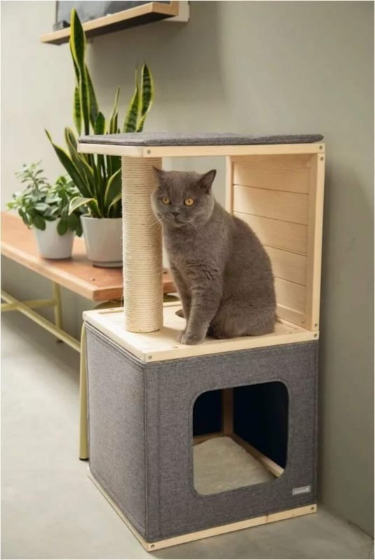 Домик для кота