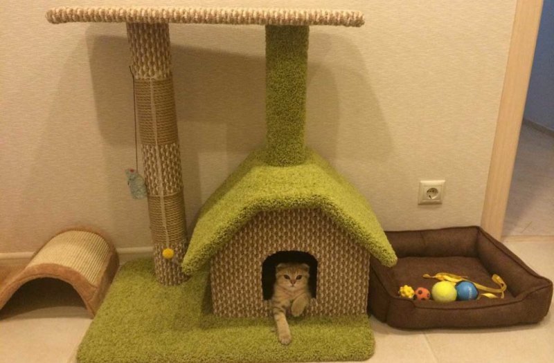 Домик для кошек