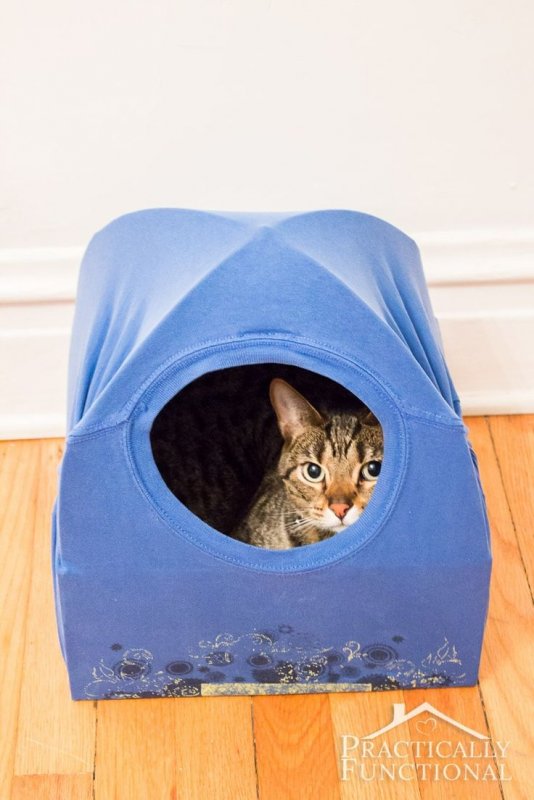Домик лежанка из коробки для кошки