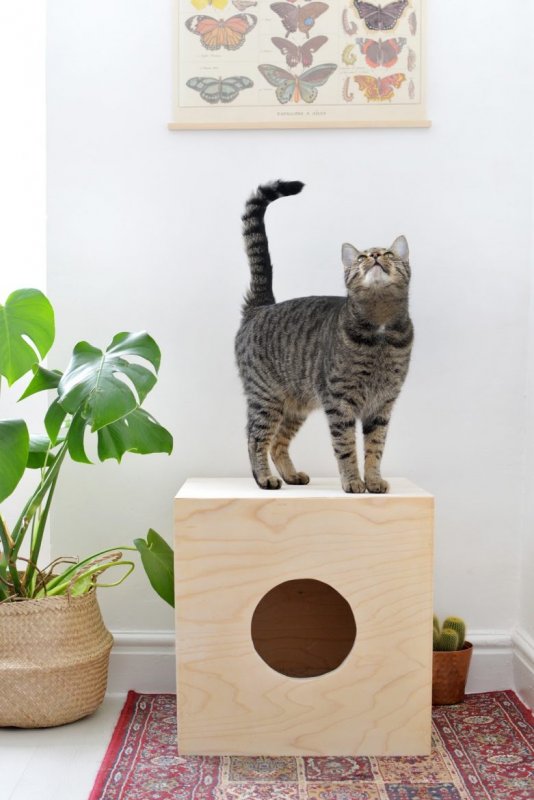 Кошачий домик из фанеры