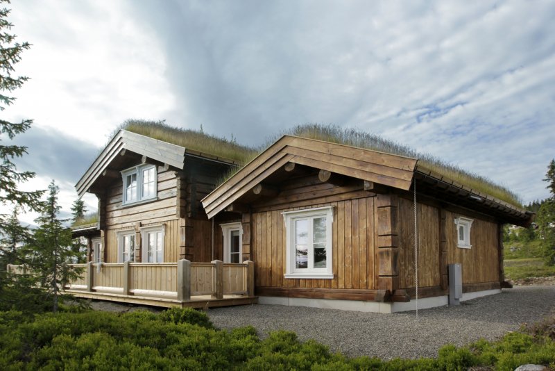 Проект Stavlaft