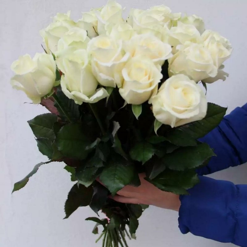 Белые розы в руках