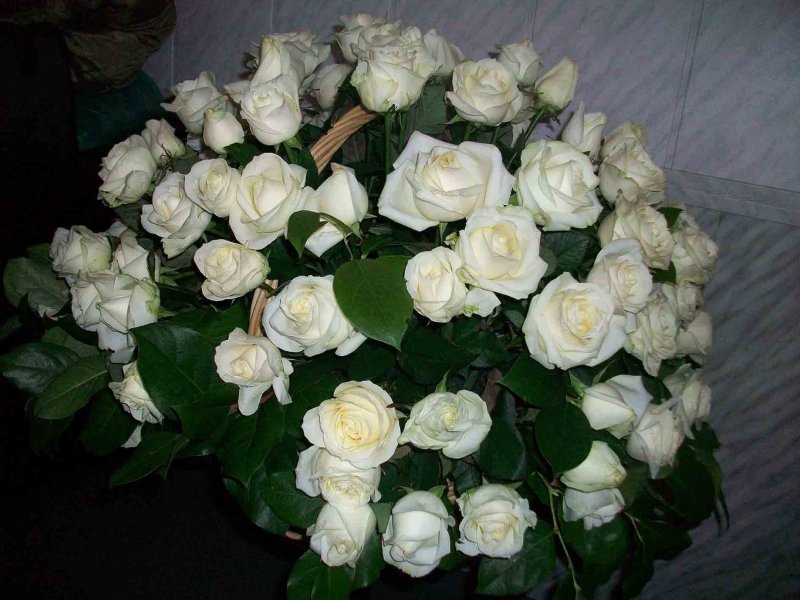 Букет белых роз дома на даче
