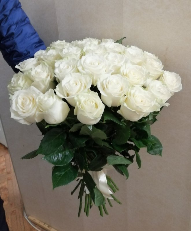 Красивые длинные белые розы