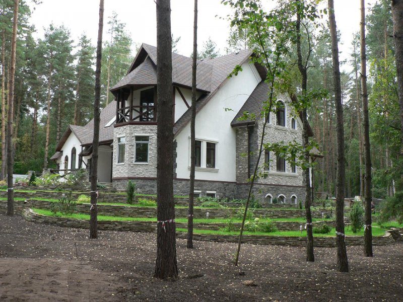 Никита Михалков в профиль