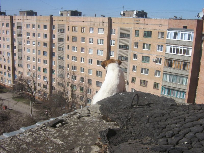 Девятиэтажки Краматорска