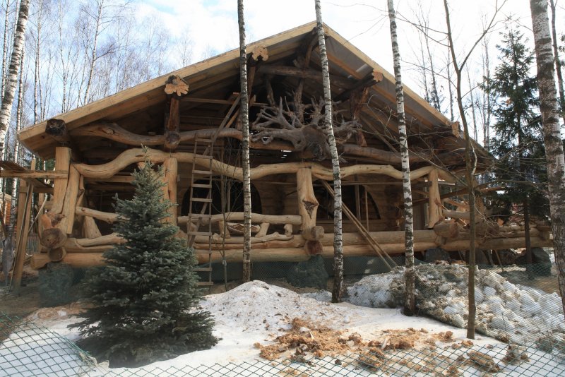 Дом из кругляка лиственницы