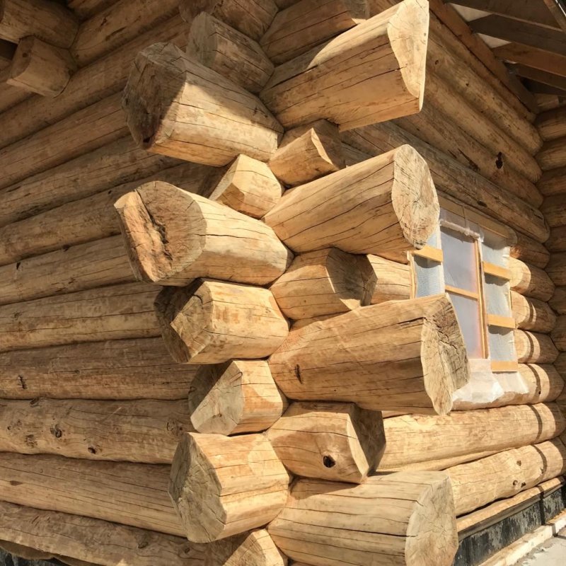 Сруб из лиственницы