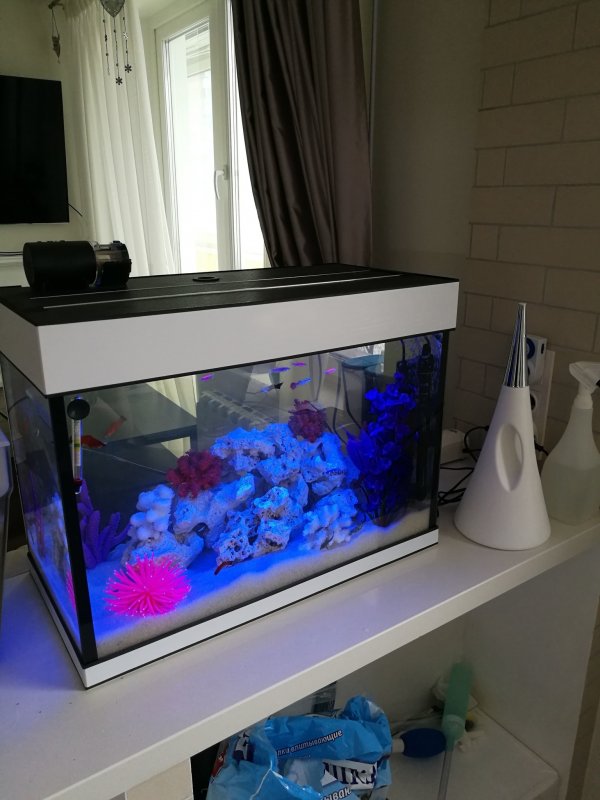 Tetra Aquarium 54 л.
