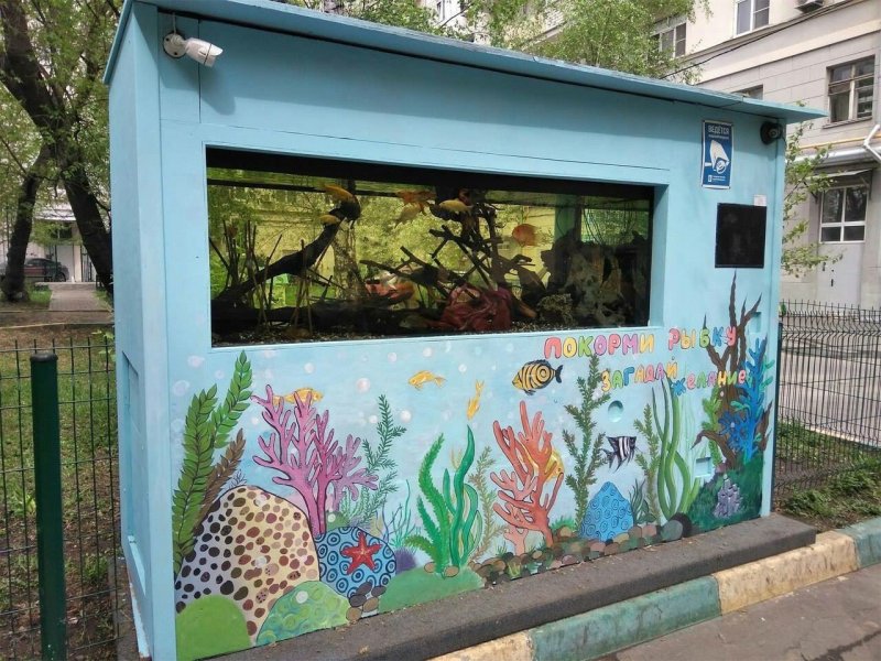 Аквариум на даче