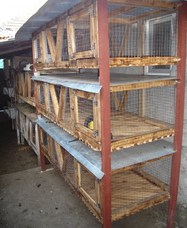 Крольчатник маточники 3 этажа