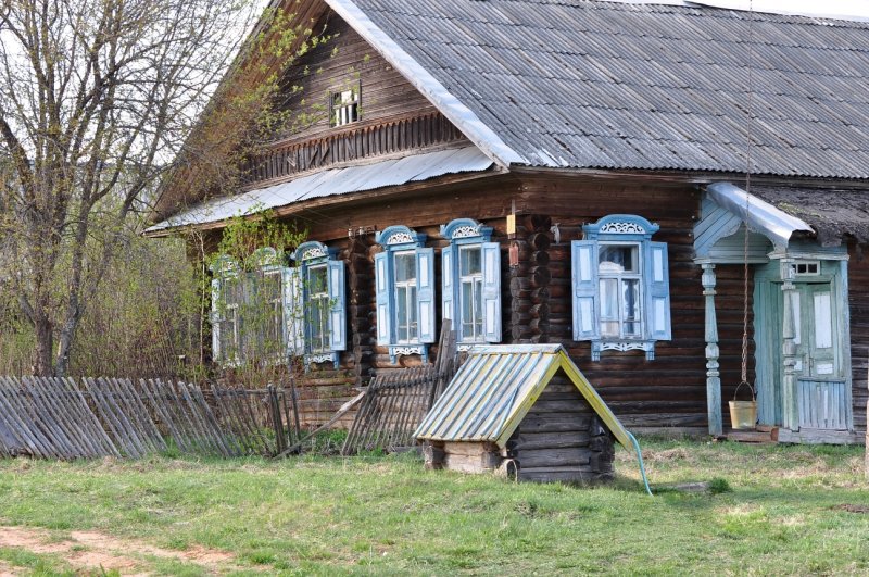 Сени в деревне
