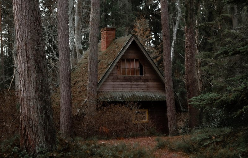 Forest House Хижина в лесу