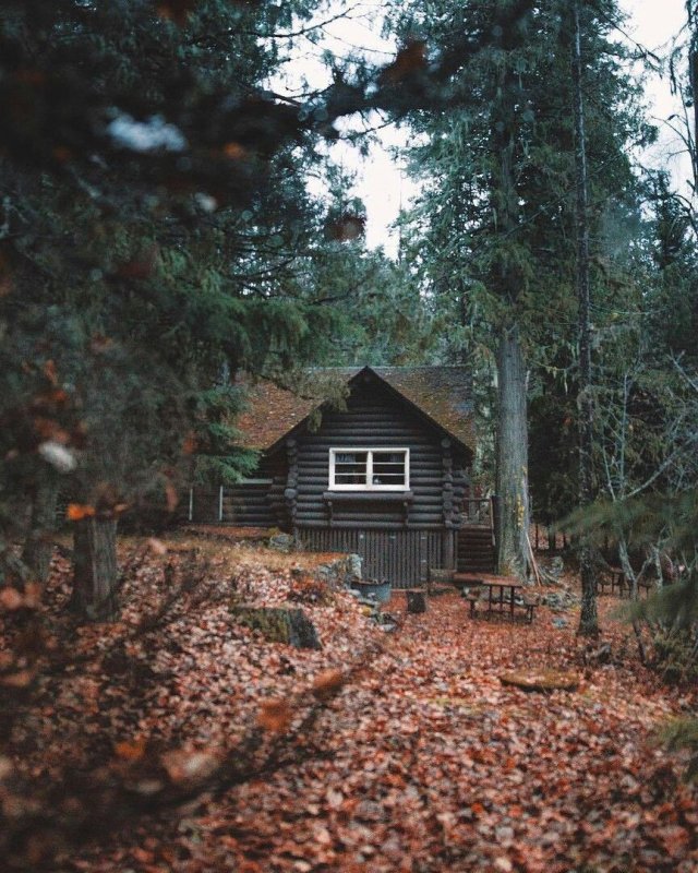 Хижина в Карелии
