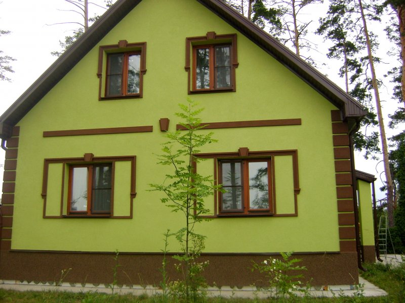 Фасад салатовый короед