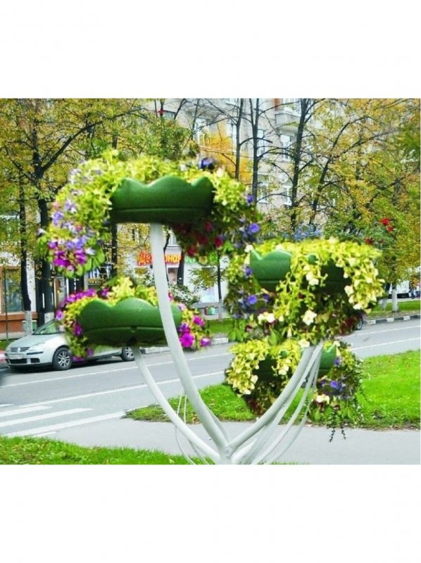 Цветочница Астра