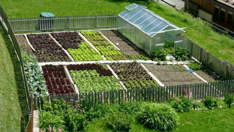 Планировка грядок на дачном участке