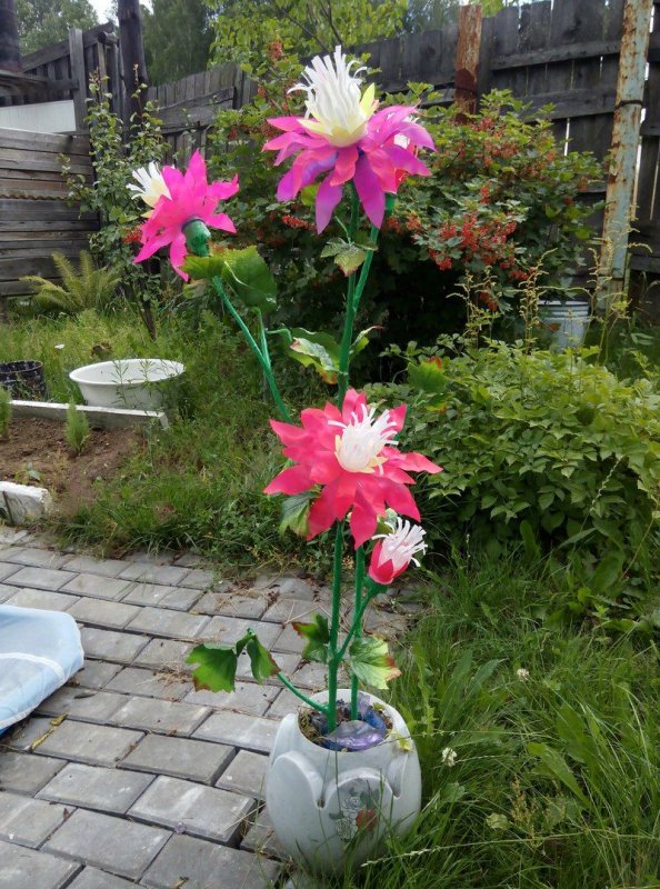 Цветы из баклажек для сада