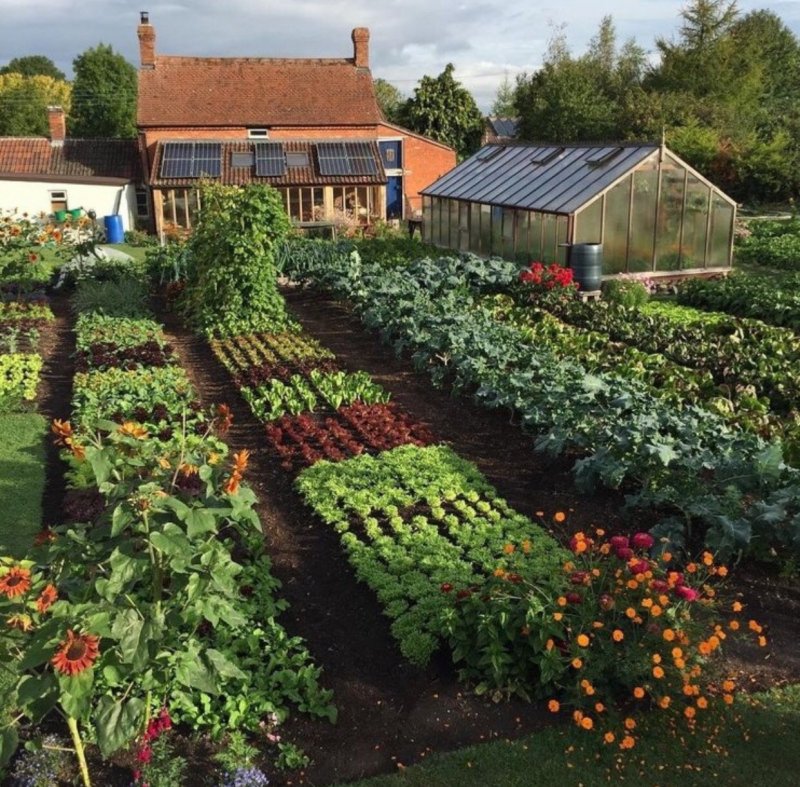 The Edible Garden огород в палисаднике