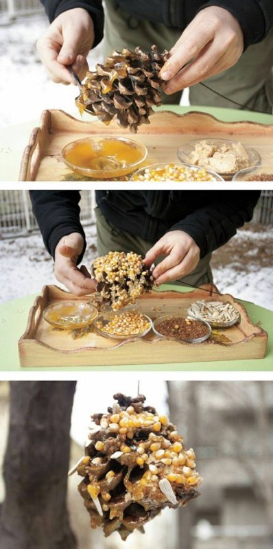 Съедобная кормушка подвеска