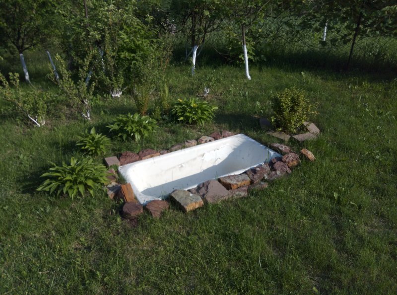 Огородный прудик