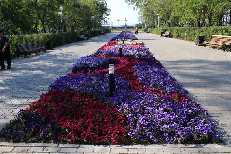 Парковые клумбы