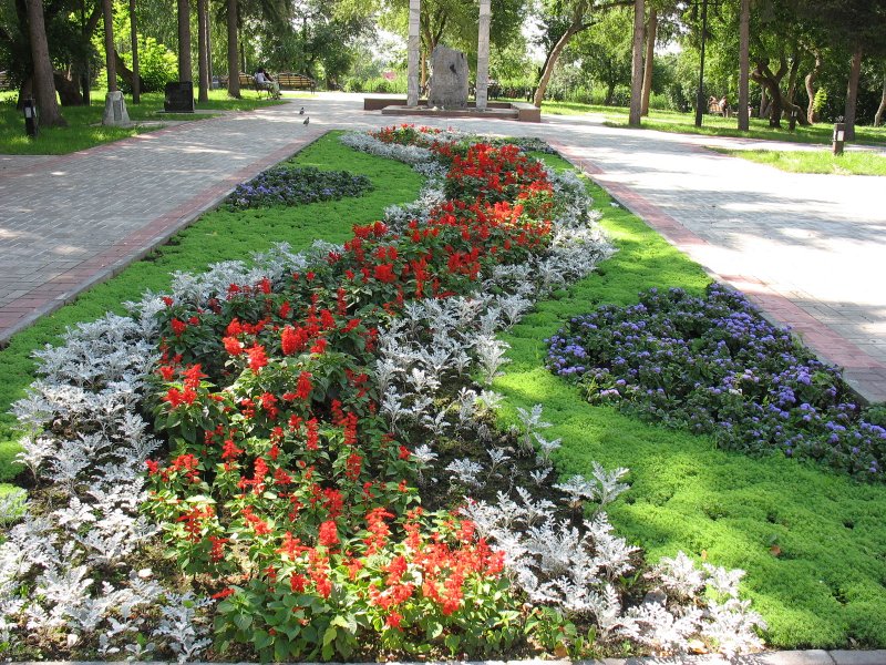 Рабатка цветник