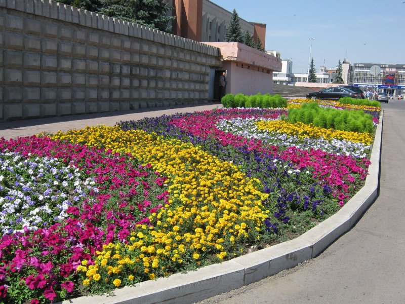 Большая прямоугольная клумба
