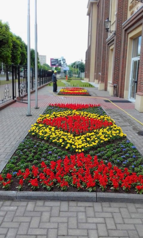 Рабатка из однолетников